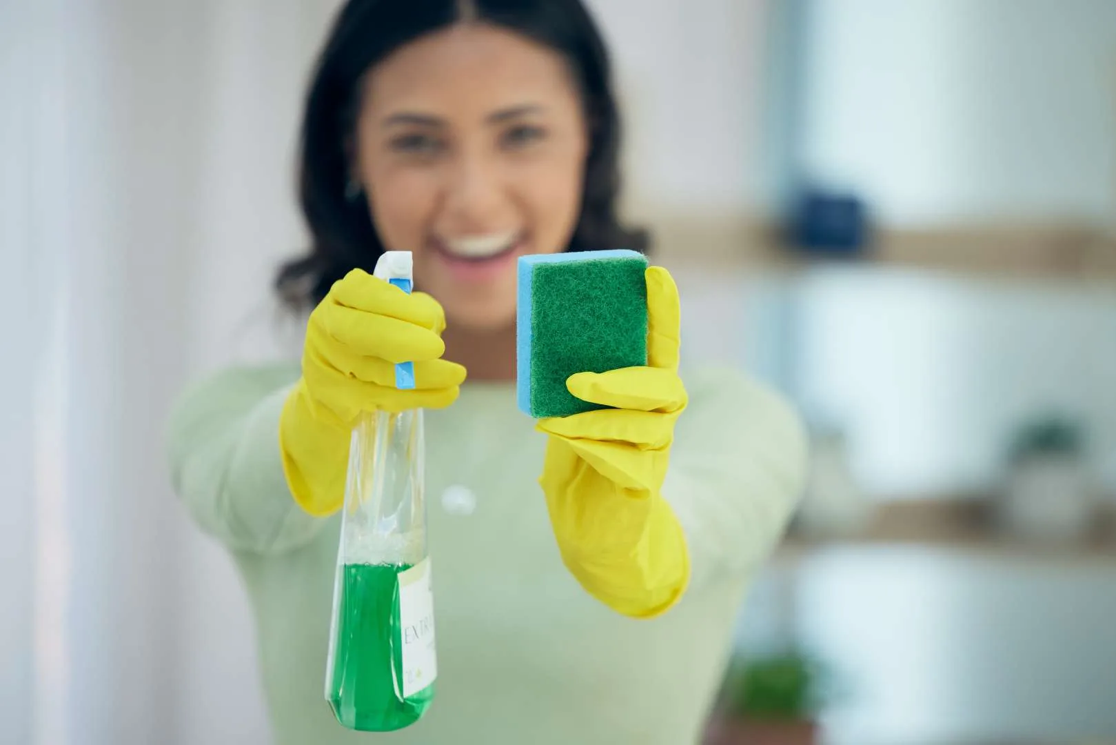 cleaning-spray-and-hands-of-woman-with-sponge-for-2023-11-27-05-01-53-utc
