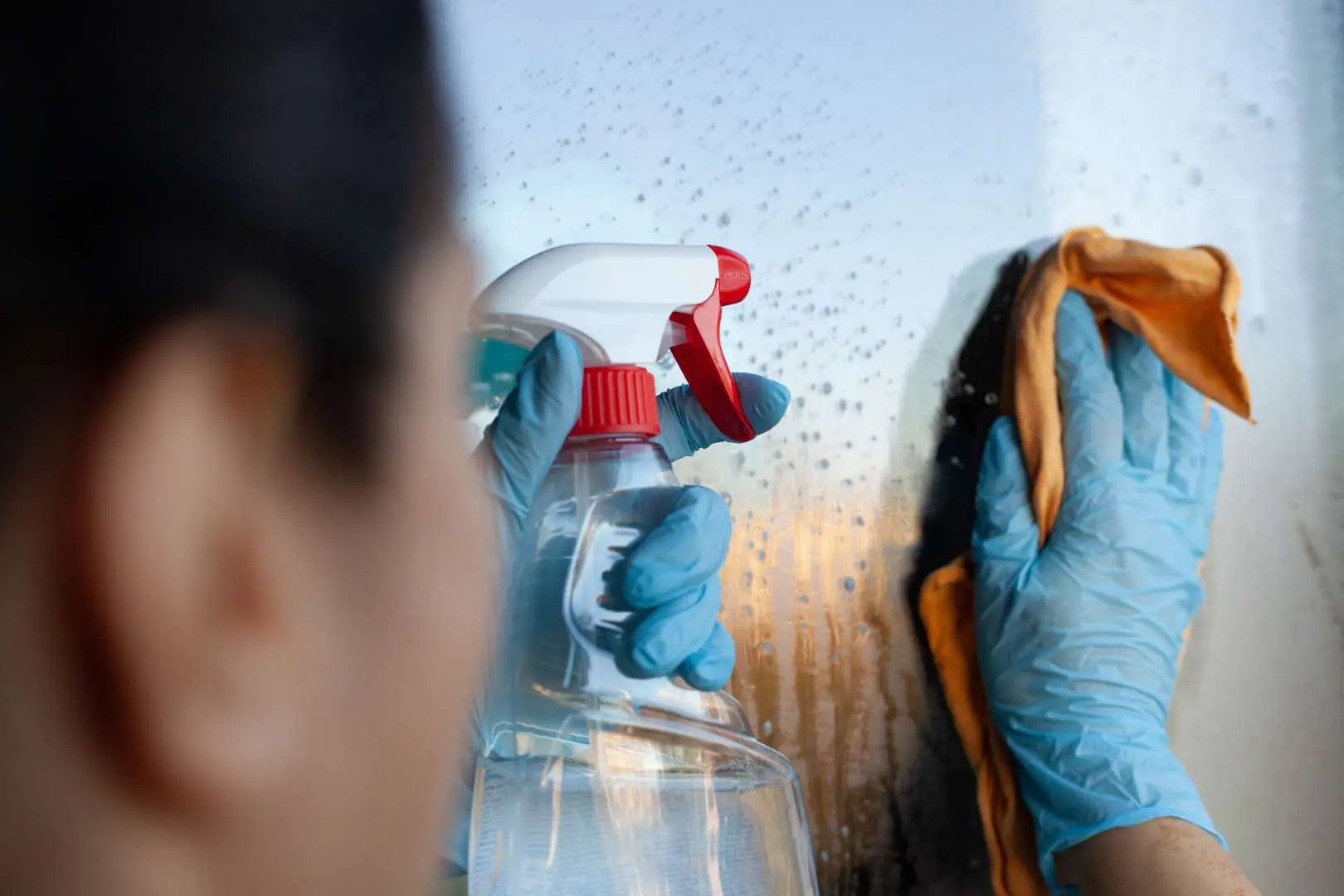 female-wearing-blue-gloves-cleaning-window-with-ye-2025-02-02-13-18-25-utc